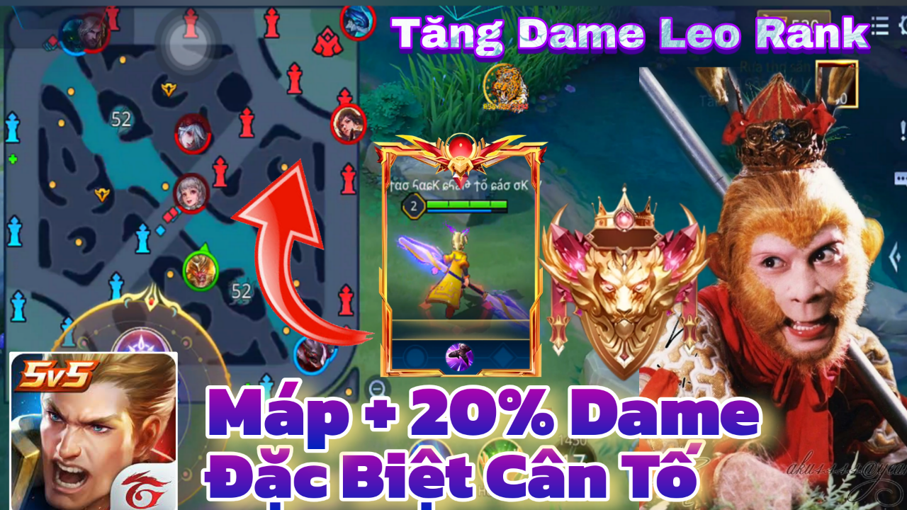 Ngộ khỉ
